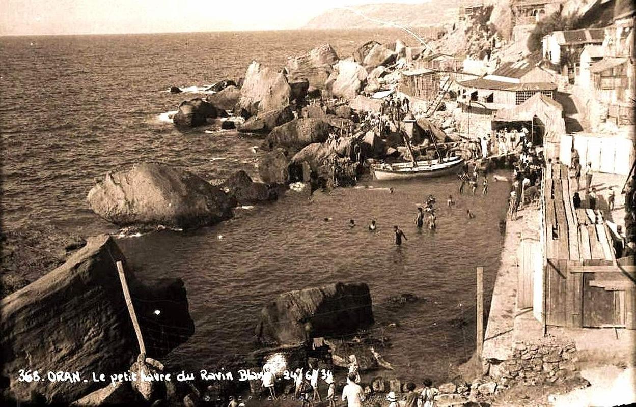 2095- Oran - Ravin-Blanc - Cabanons et Petit Port- 1934.jpg